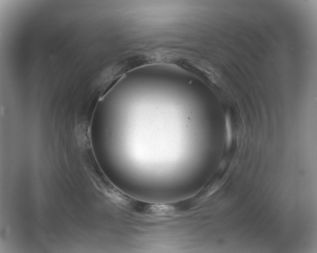 X0000064770429200602101254