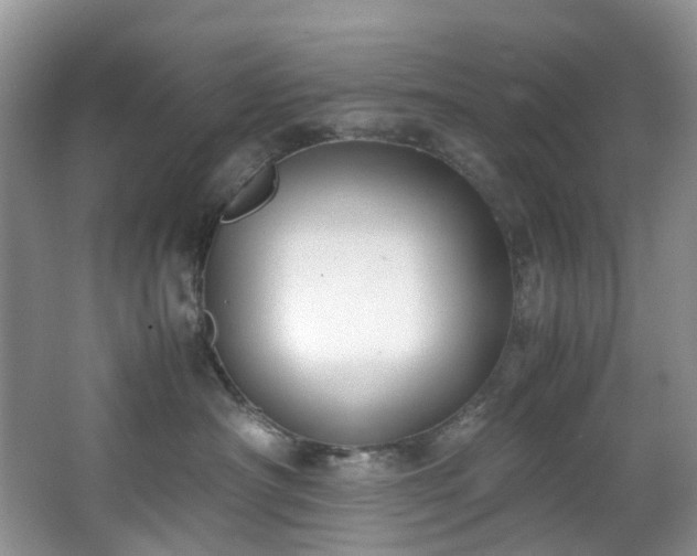 X0000064770430200602101254