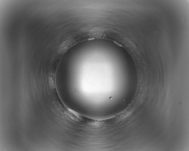 X0000064770432200602101254