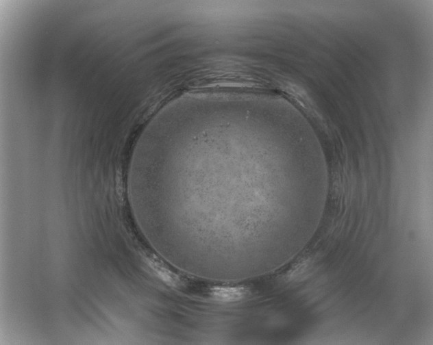 X0000064770457200602101253