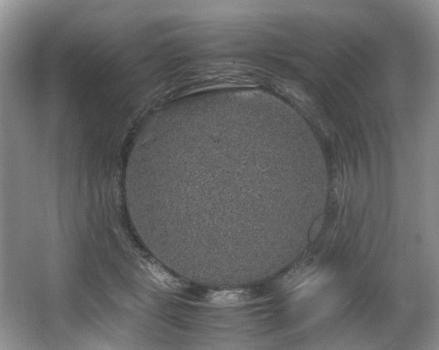 X0000064770461200602101253