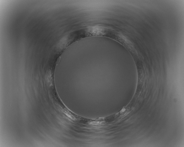 X0000064770465200602101254