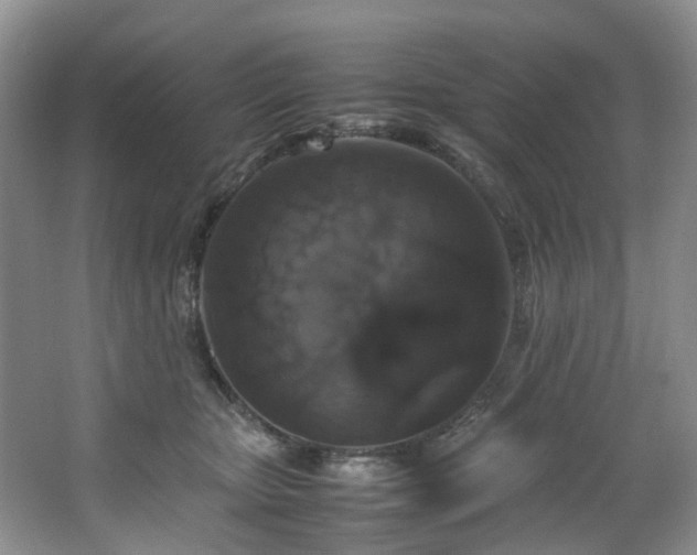 X0000064770467200602101254