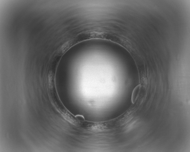 X0000064770468200602101254
