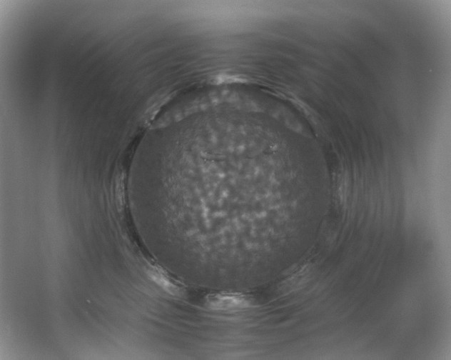 X0000064770475200602101254