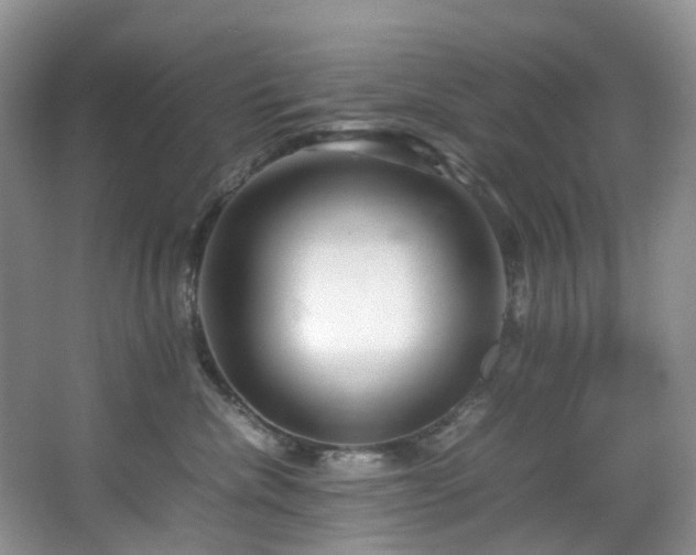 X0000064770476200602101254