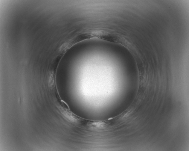 X0000064770478200602101254