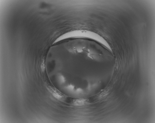 X0000064770479200602101254