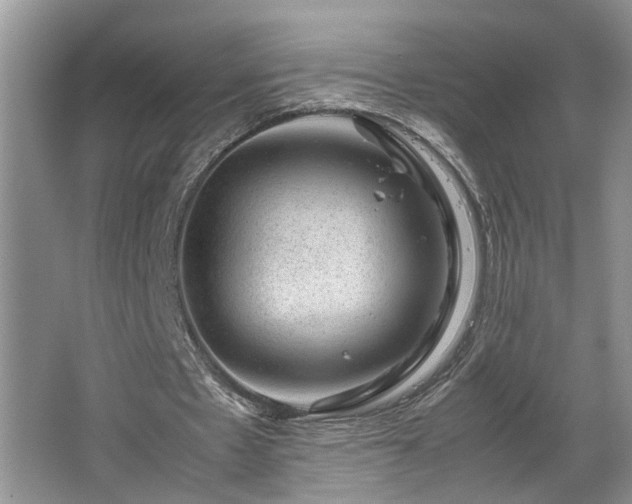 X0000064770481200602101253