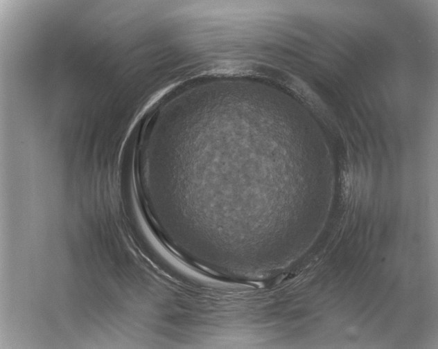 X0000064770484200602101253
