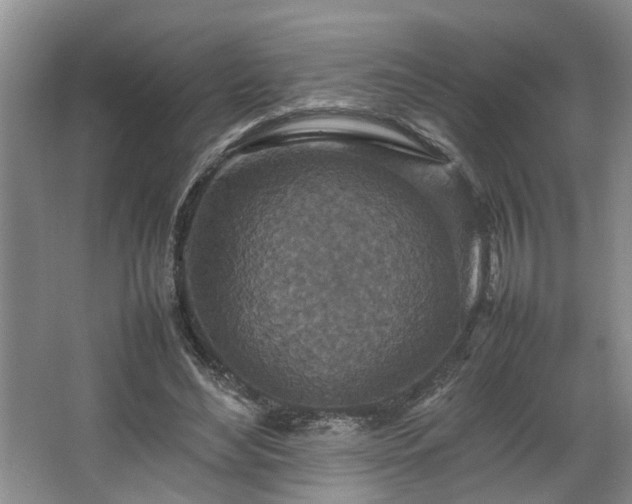 X0000064770492200602101253