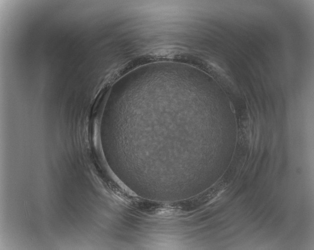 X0000064770504200602101253