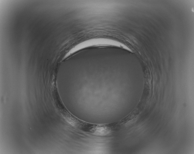 X0000064770507200602101252