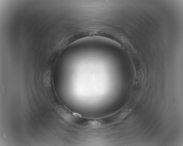 X0000064770509200602101252