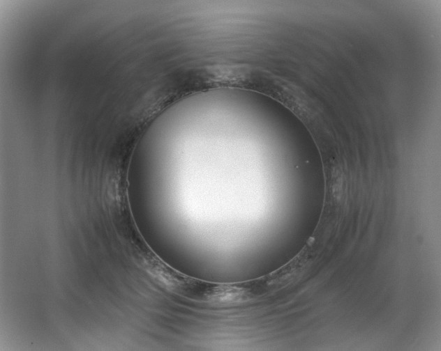 X0000064770514200602101252