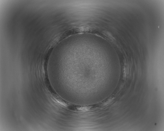 X0000064770516200602101252