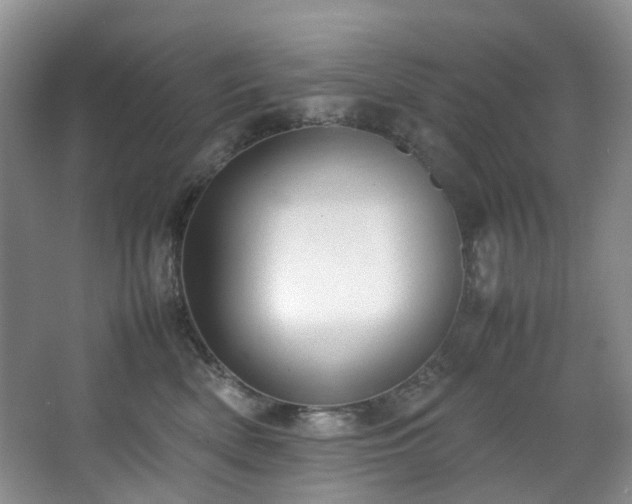 X0000064770522200602101252