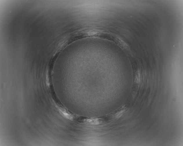 X0000064770524200602101252