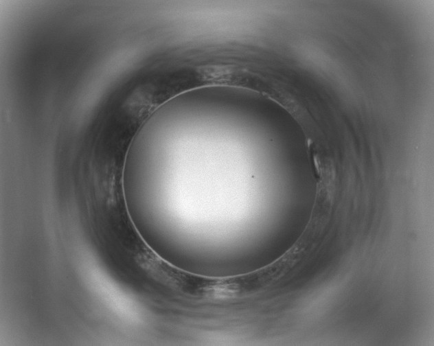 X0000064770525200602101252