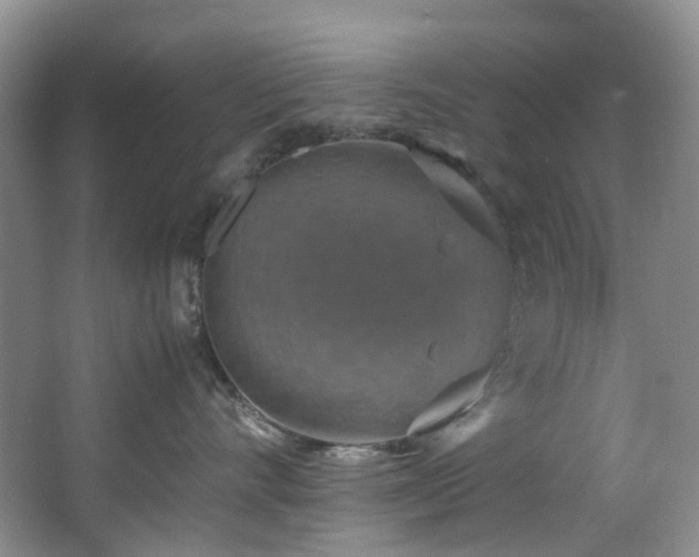X0000064770528200602101252