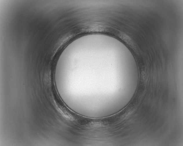 X0000064770534200602101251