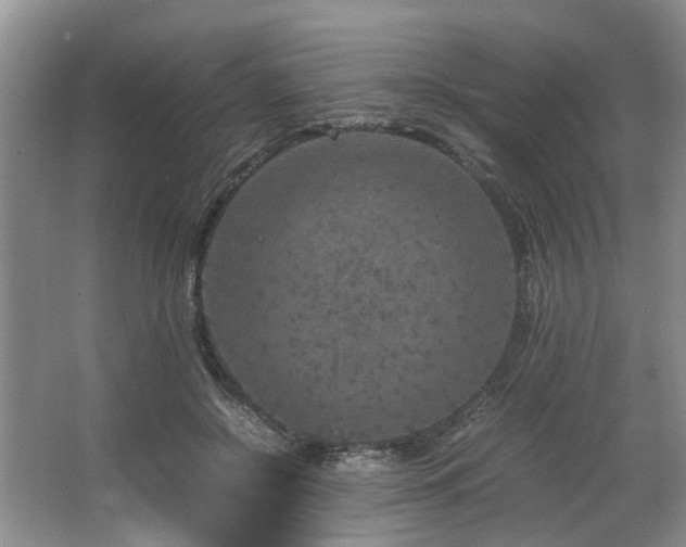 X0000064770550200602101252