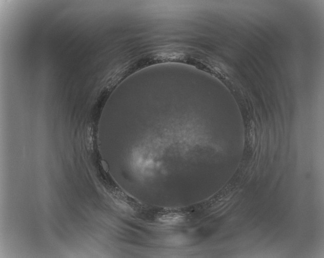 X0000064770551200602101252
