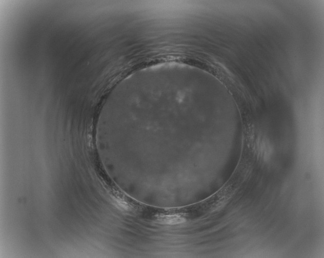 X0000064770553200602101252