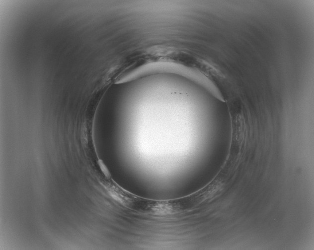X0000064770562200602101252