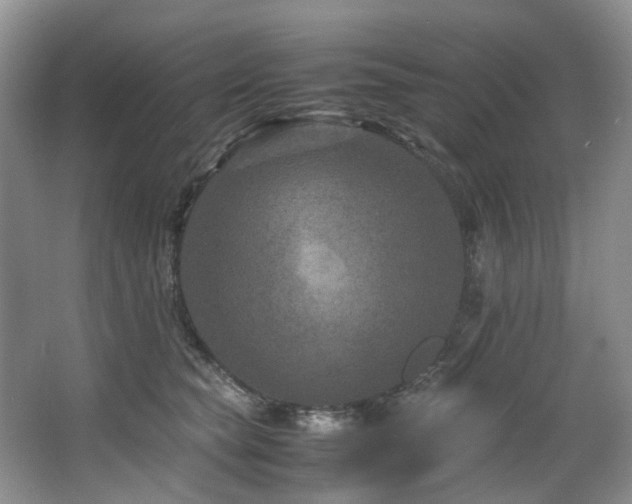 X0000064770565200602101252