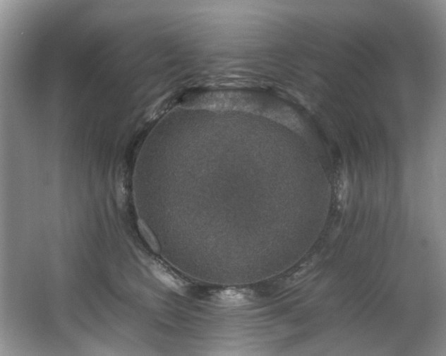 X0000064770566200602101252