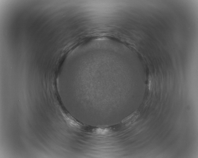 X0000064770570200602101252