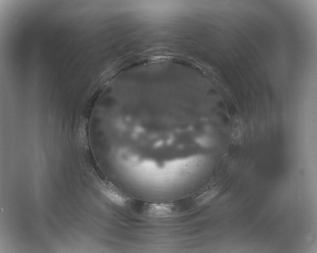 X0000064770573200602101252