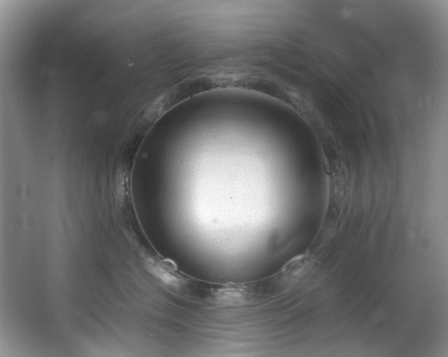 X0000064770574200602101252
