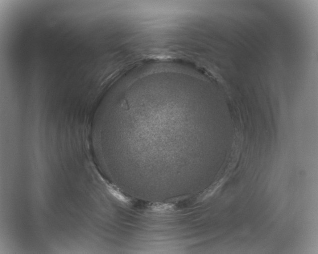X0000064770576200602101252