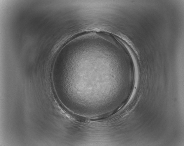 X0000064770577200602101251