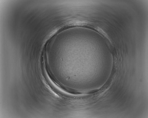 X0000064770581200602101251