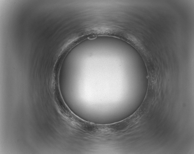 X0000064770583200602101251
