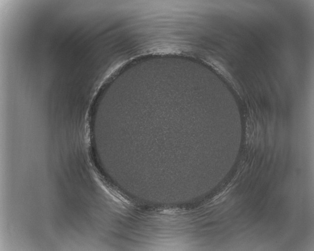 X0000064770584200602101251