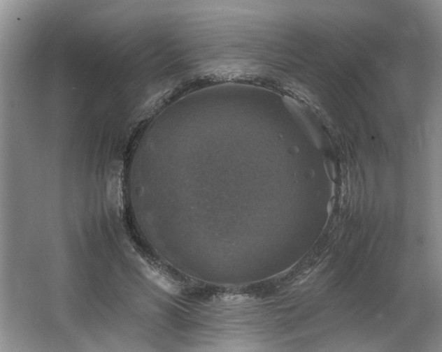 X0000064770590200602101251