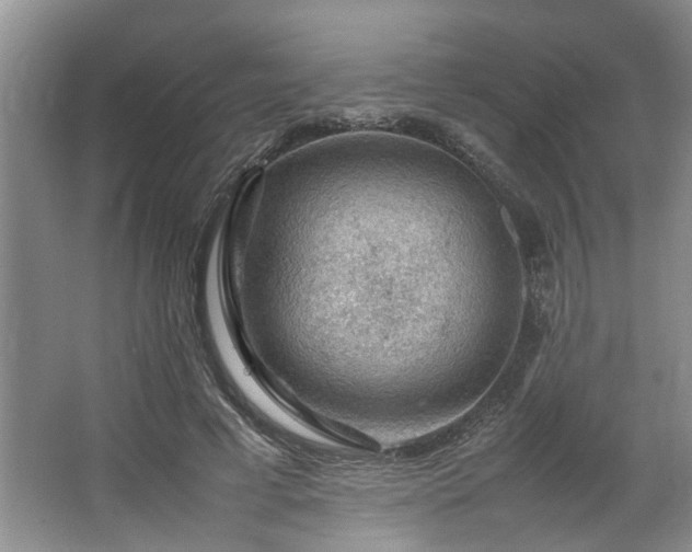 X0000064770593200602101251
