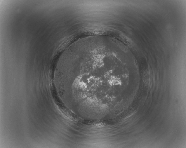 X0000064770594200602101251
