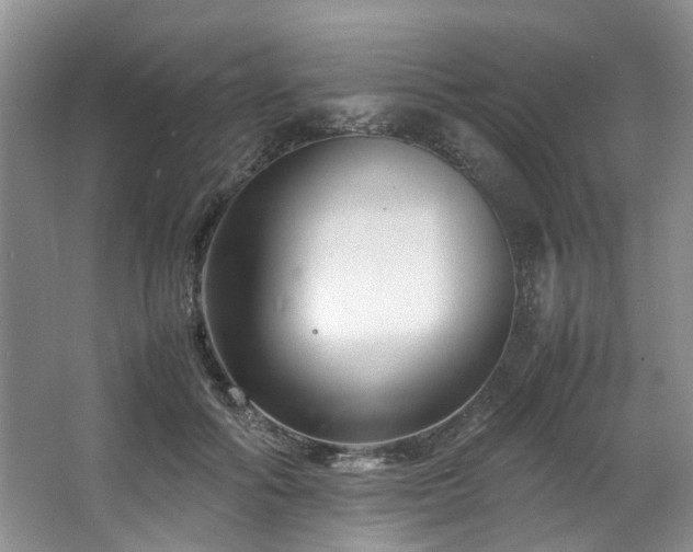 X0000064770602200602101251