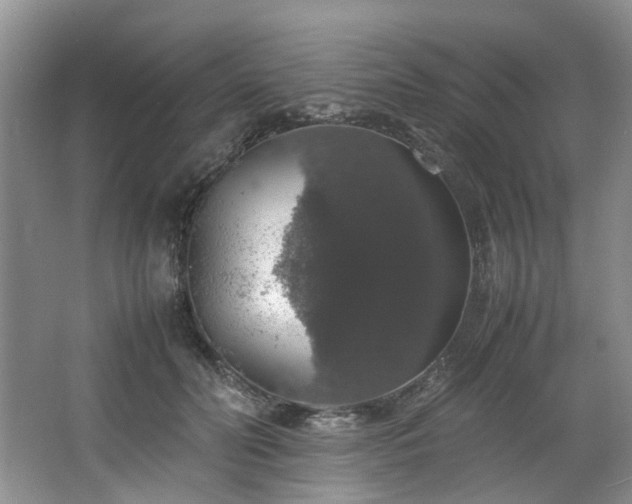 X0000064770606200602101251