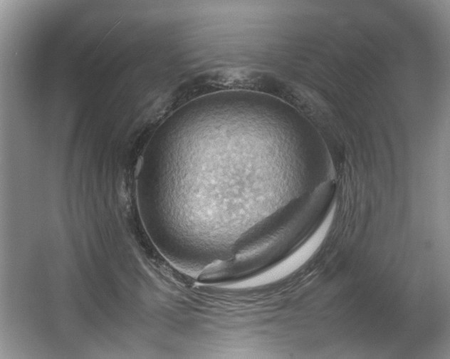 X0000064770607200602101251