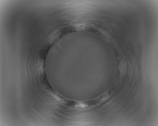 X0000064770610200602101251