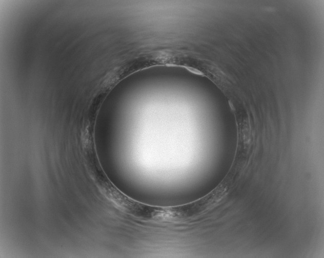 X0000064770611200602101251