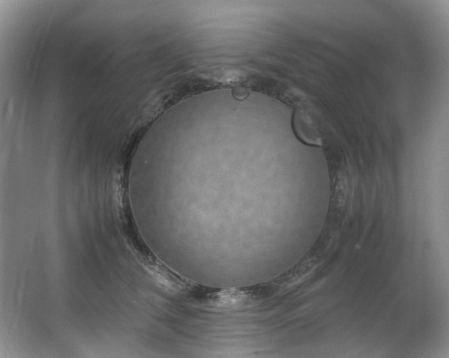 X0000064770612200602101251