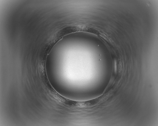 X0000064770613200602101251