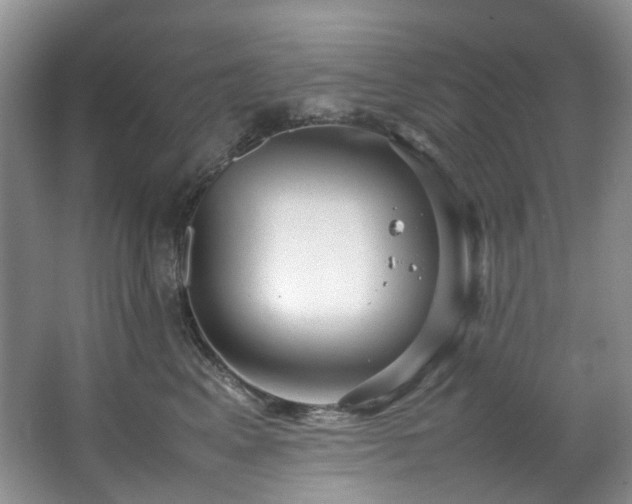 X0000064770617200602101251